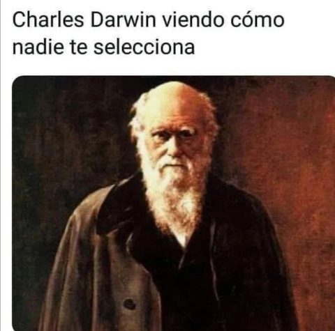 darwin