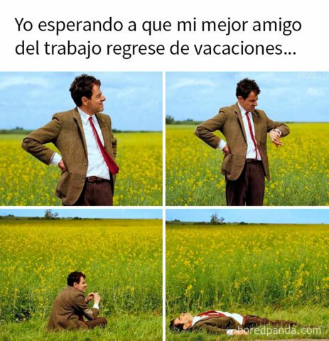 amigo del trabajo